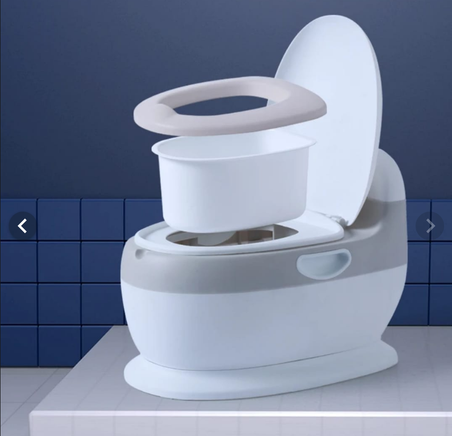 Baby Potty Chair Toilet Training Seat Potty